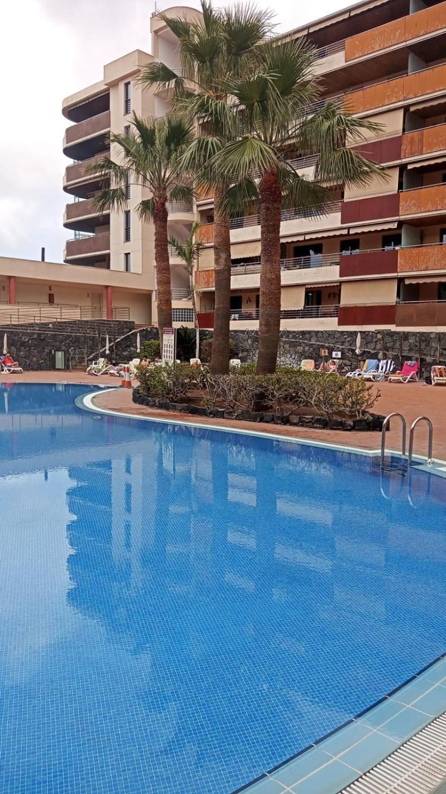 Vistas De Los Gigantes Apartamento 2 Dormitorios Puerto de Santiago  Ngoại thất bức ảnh